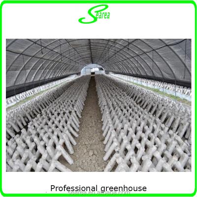 China PE easy install amushroom greenhouse for sale