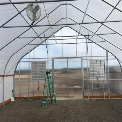 China PE new technology chicken tunnel mushroom greenhouse equipment for sale for sale