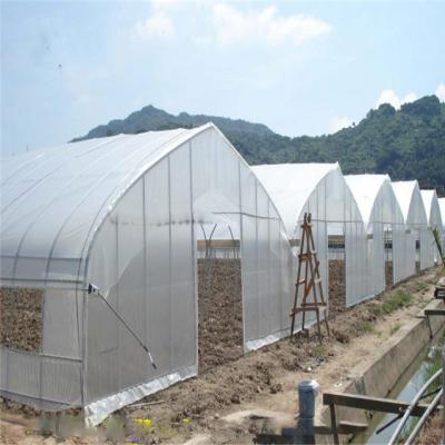 China Easily Assembled Polythene Greenhouse For Growing Tomato for sale