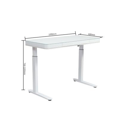 China Electric Height Sit To Stand Standing Desk Adjustable (Height) Adjustable Ergonomic Desk for sale