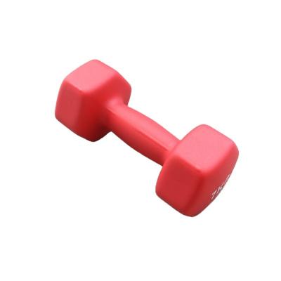 China Universal Wholesale High Quality Plastic Dip Dumbbells Dip Cast Plastic Dumbbell for sale