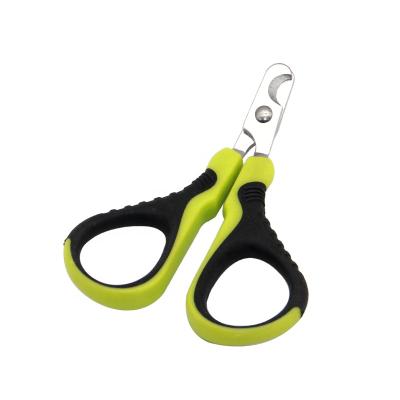 China Viable Professional Stainless Steel Cat Dog Pet Nail Scissors Cutter Nail Clippers For Small Aimals for sale