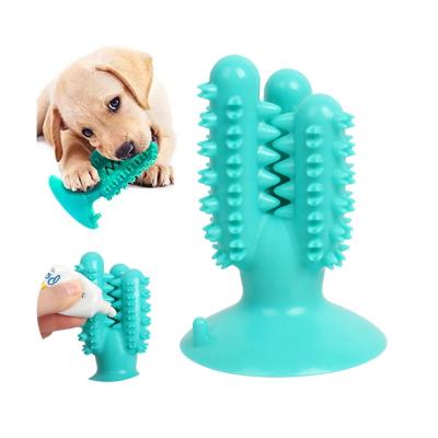 China 2021 Viable Rubber Cactus Puppies Teeth Cleaning Dog Toothbrush Chew Toys For Aggressive Chewers for sale