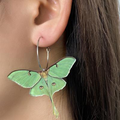 China 2022 other hot selling green individuality butterfly circle earrings simulated acrylic butterfly pendent earrings for girls for sale