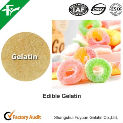 China Unflavored Edible Bovine Gelatin 200-280 Bloom Beef Skin Gelatin Powder For Food Industry for sale