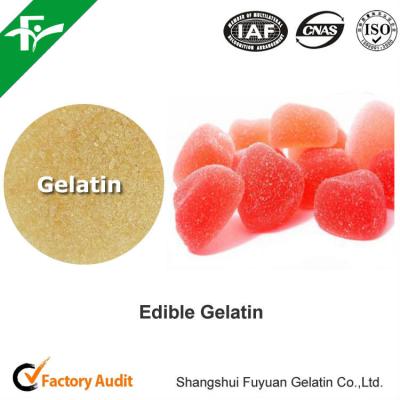 China Hot sale 80-280 Bloom Edible Bovine Gelatin used for Confectionery for sale