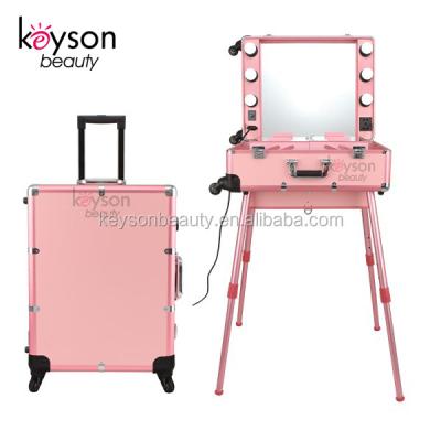 China Fashion Keyson 2018 Studio Makeup Artist Aluminum Undercarriage Case With Lights And Mirror for sale