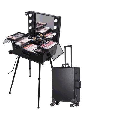 China Fashion LED Mirror Trolley Makeup Train Case Studio Pro Salon Makeup Storage Box Cosmetic Organizer Case with Bulbs and Holder for sale