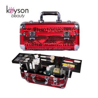 China Keyson Fashion Hairdresser Professional Beauty Case Cosmetic Makeup Suitcases for sale