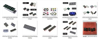 Cina Monocromio 4in di Digital TN/STN/FSTN dell'esposizione di LED di segmento del film 7 del polarizzatore in vendita