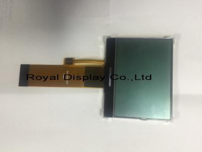 Cina LCD Chinese Supplier Transflective Type Characters 160X100 Dots Mono Graphic LCD Screen Module Display in vendita