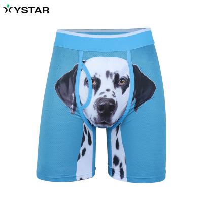 China Best quality antibacterial men's underwear wear wholesaler men's underwear factory men's boxer for sale