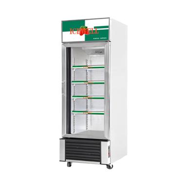 China Commercial Upright Single-Temperature Display Refrigerator Single Door Display Freezer for sale