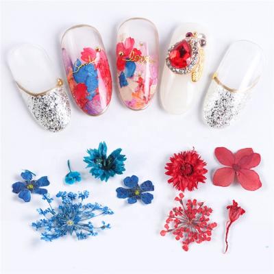 China 3D Box 1 Pack Multi Kinds Nail Art Pressed Dry Flower Hot Sale High Quality Nature Dried Flowers for sale