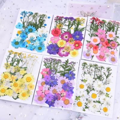 China 1 Bag Vacuum Pack 3D DIY Dried Natural Flowers For Nail Supplies Phone Case Artware 3D Makeup Dried Nails Art Decoration Flowers for sale