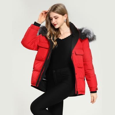 China Anti-wrinkle Ladies winter warm down jacket, hooded red mink lined down jacket for sale