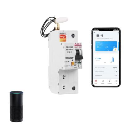 China 1P 2mod single phase tuya ewelink WiFi power monitoring circuit breaker with Amanzon Alexa and Google home ZJSB9-80Z for sale