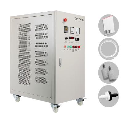 China Water Purification New Arrival Generator 30g Disinfection Car 100g Shoes Spray Ozone Sterilizer Food for sale