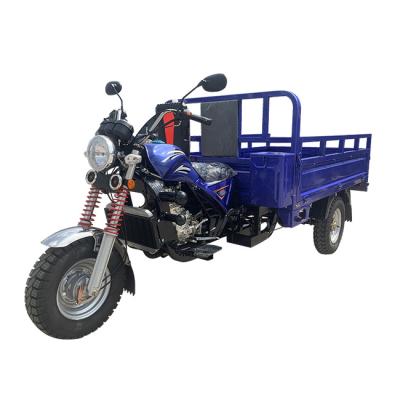 China Cargo Bajaj Three Wheel Spare Parts Tricycle Gasoline For Cargo for sale