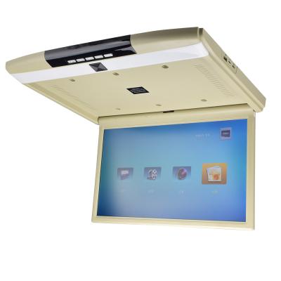 China Automotive Beige Color Optional 17.3 Inch 12V Car Ceiling Screen LCD LCD Monitor With FM/TV for sale