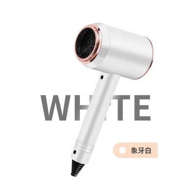 China Hair Brush Salon Hair Dryer Ionic Drier Ionic Hair Dryer with CE RoHS FCC for sale