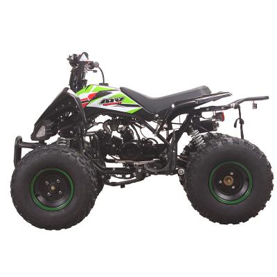 China NEW SALES Utility Vehicle Quad Bike 110cc Gas Super Sports Quads ATV (SL110S 8INCH) 8 inch for sale