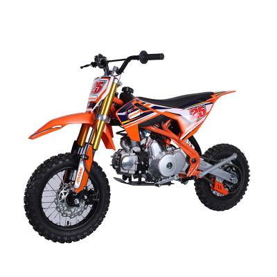 China Factory Gas Dryer Pit Bike 110cc Racing Dirt Bike Off Road Motorcycles (DB01H) DB01H for sale