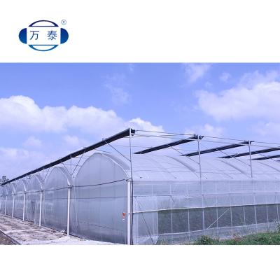 China Suitable for all popular new regions long life film greenhouse plastic sheet agriculture for sale