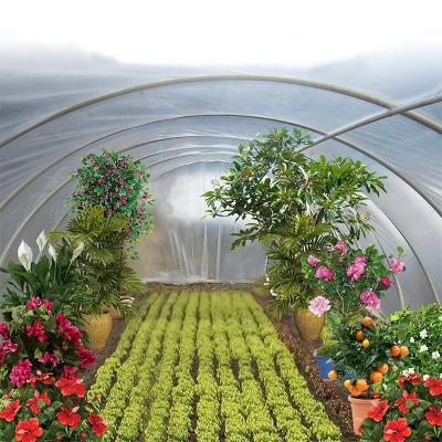 China Anti Drip PO/PE Film Green House Fish Farm Greenhouse Durable Netting Film For Sale for sale