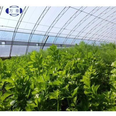 China Durable Plastic Greenhouse Tunnel Greenhouse Outside Cover With PE Film Commercial Greenhouse For Sale for sale