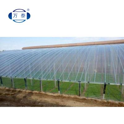 China Suitable for all regions new design anti-fog film reinforced greenhouse film farmhouse film for sale