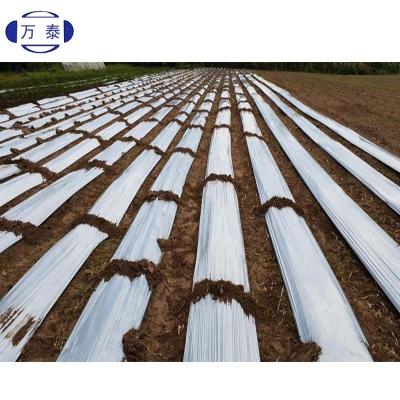 China Durable Silver Shine Plastic Mulching Films / Plastic Mulch With Hole for sale