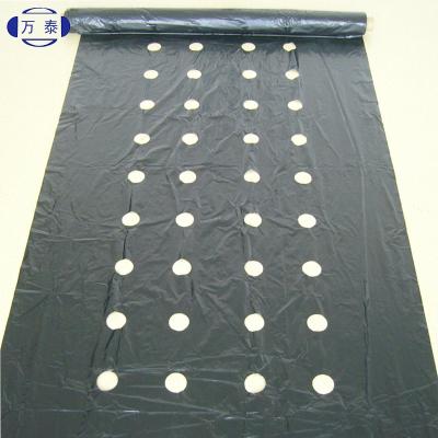 China Durable agriculture film on rolls roll/plastic sheet for agriculture farming mulch perforated plastic film/pe for sale