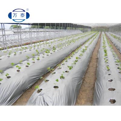 China Suitable for all regions new design perforated plastic sheet mulch film agricultural punch hole for sale