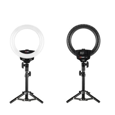 China Tolifo 10 Inch 22W Ring Light For Desktop Live Stream|Makeup|Youtube Video R-22B for sale