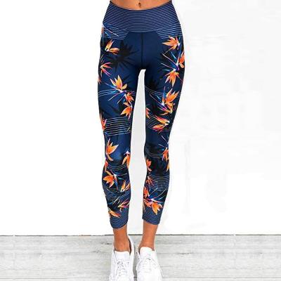 China Antibacterial Hot Sale High Waist Fitness Yoga Leggings for sale