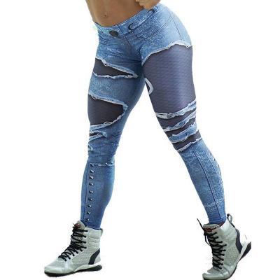 China Factory Supply Direct Mesh Pattern Shiny Riding Stripe Gaiters Fitness Gym Gaiters Antibacterial for sale