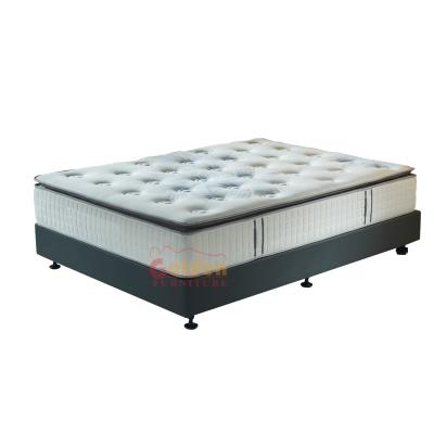 China Foshan Cooling Queen Mattress Sale Pocket Bed Base Manufacturer for sale