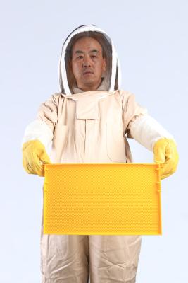 China Full Body Beekeeping Protective Clothing White Color Cotton Bee Suit for sale