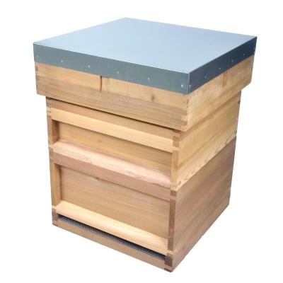 China Red Cedar British National Hive 10 Frame Size Customized With Double Layer for sale