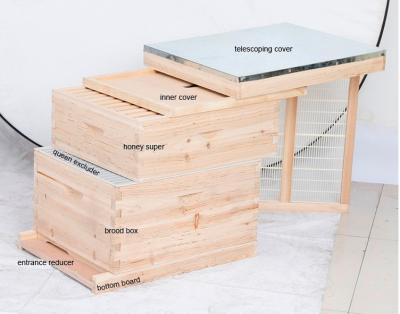 China Recyclable Bee Hive Equipment Dadant Beehive / Langstroth Beehive for sale