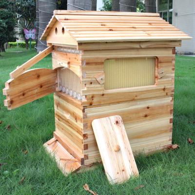 China Chinese Wax-Coated Cedar Wood Automatic Self-Flowing Honey Bee Hive & 7 Auto Frames Apiculture Beekeeping Equipment Tool for sale