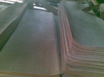 China rotary cut beech veneer for sale