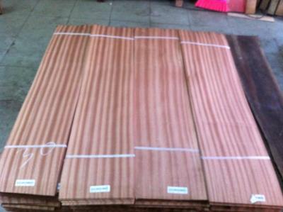 China 910x125x0.5mm sapele flooring veneer for sale