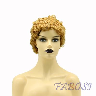 China Swiss Human Hair Wigs Brazilian Curly Hair Lace Front Human Hair Natural Brazilian Hair for sale