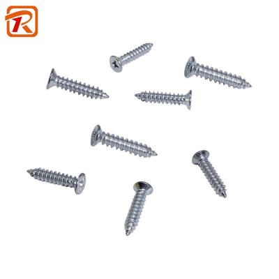 China Hidden Camera Drywall Screws by Pan Galvanized Screws Stainless Steel for sale