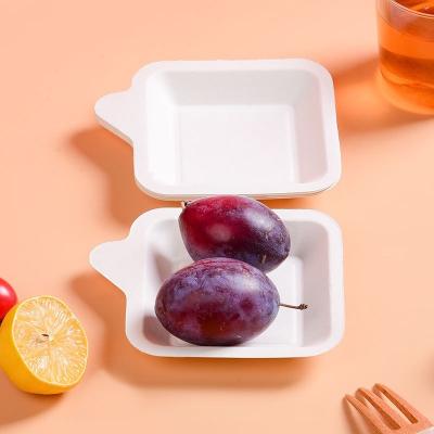 China Fruit Gevormde Pulp Rekupereerbaar Tray Lightweight Moluded Paper Pulp Te koop