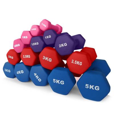 China Customized Universal High Quality Most Popular Dumbbell Set Gym Dumbbell for sale