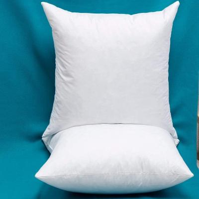 China Sustainable Wholesale Cotton Blanket Square Down Feather Pillow Insert for sale