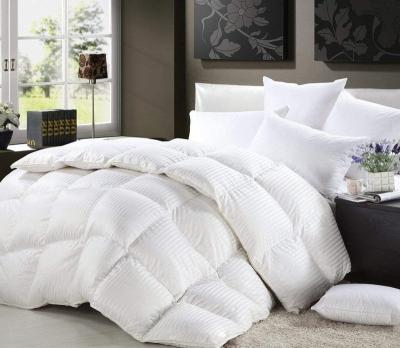 China Soft Medium Weight For All Season Hotel Style Fluffy Goose Down Duvet Insert for sale